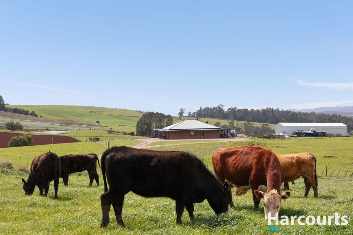 25 Greens Creek Road, SASSAFRAS, TAS 7307, Harford - Thumbnail 3