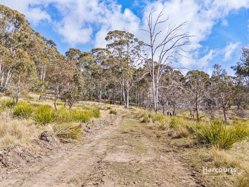 1/4115 Tasman Highway, RUNNYMEDE, TAS 7190, Runnymede - Thumbnail 2