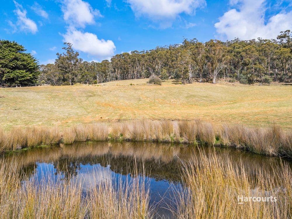 1/4115 Tasman Highway, RUNNYMEDE, TAS 7190, Runnymede - Thumbnail 3