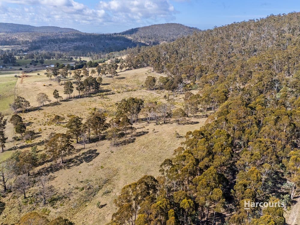1/4115 Tasman Highway, RUNNYMEDE, TAS 7190, Runnymede - Thumbnail 6