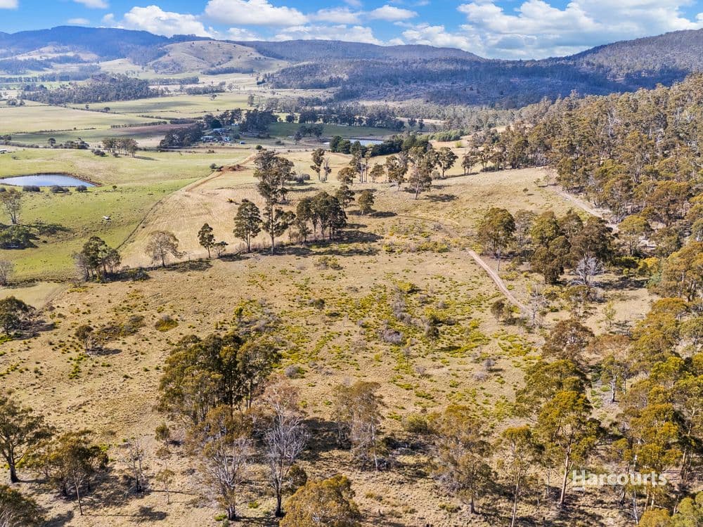 1/4115 Tasman Highway, RUNNYMEDE, TAS 7190, Runnymede - Thumbnail 7