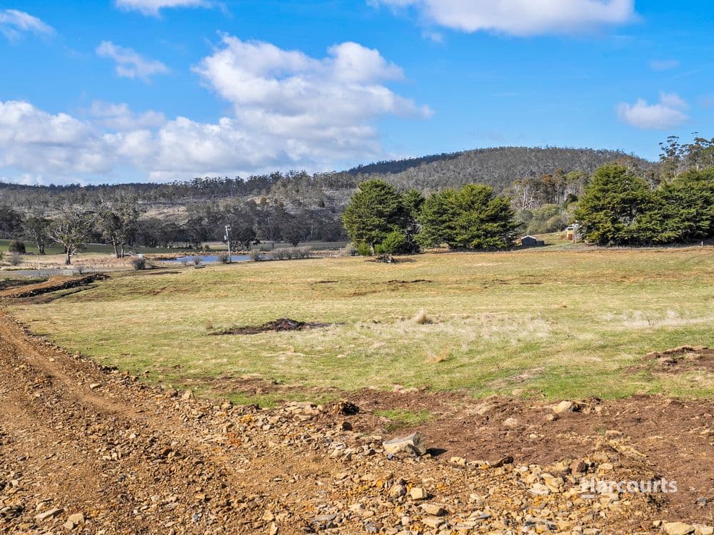 1/4115 Tasman Highway, RUNNYMEDE, TAS 7190, Runnymede - Thumbnail 8