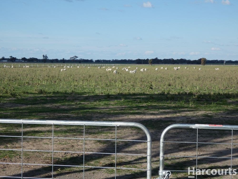 435 Old Hamilton Road, HAVEN, VIC 3401, Haven - Thumbnail 8