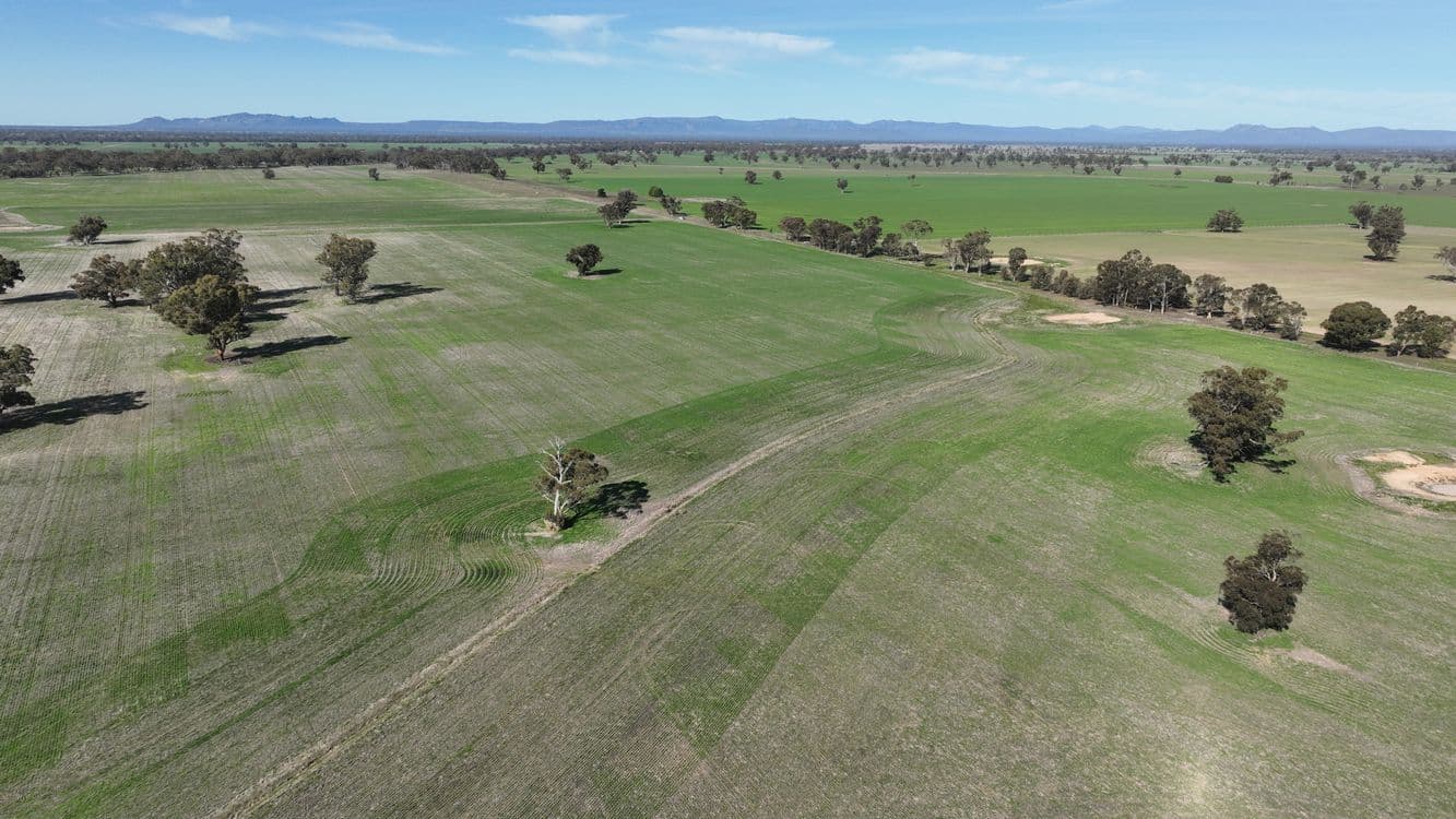2822 Henty Highway, WONWONDAH, VIC 3401, Wonwondah - Thumbnail 8