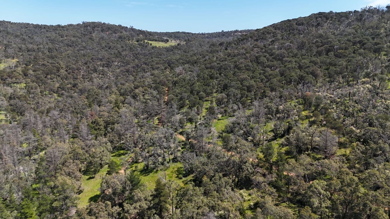 Lot 51 Chittering Road, BULLSBROOK, WA 6084, Bullsbrook - Thumbnail 7