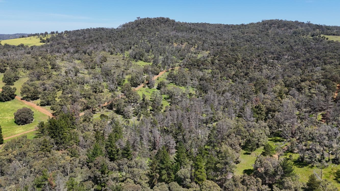 Lot 51 Chittering Road, BULLSBROOK, WA 6084, Bullsbrook - Thumbnail 8