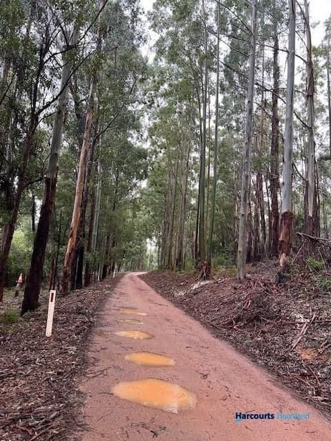 46 Buckley Road, CARLOTTA, WA 6275, Carlotta - Thumbnail 4