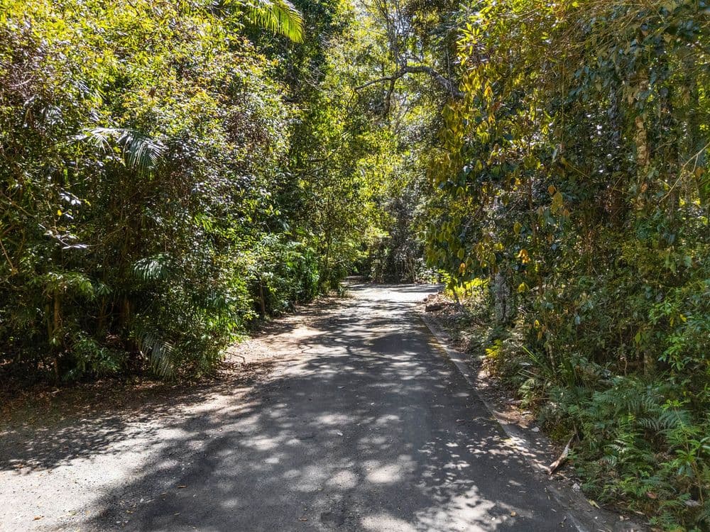 16 Kuralboo Street, SPRINGBROOK, QLD 4213, Springbrook - Thumbnail 2