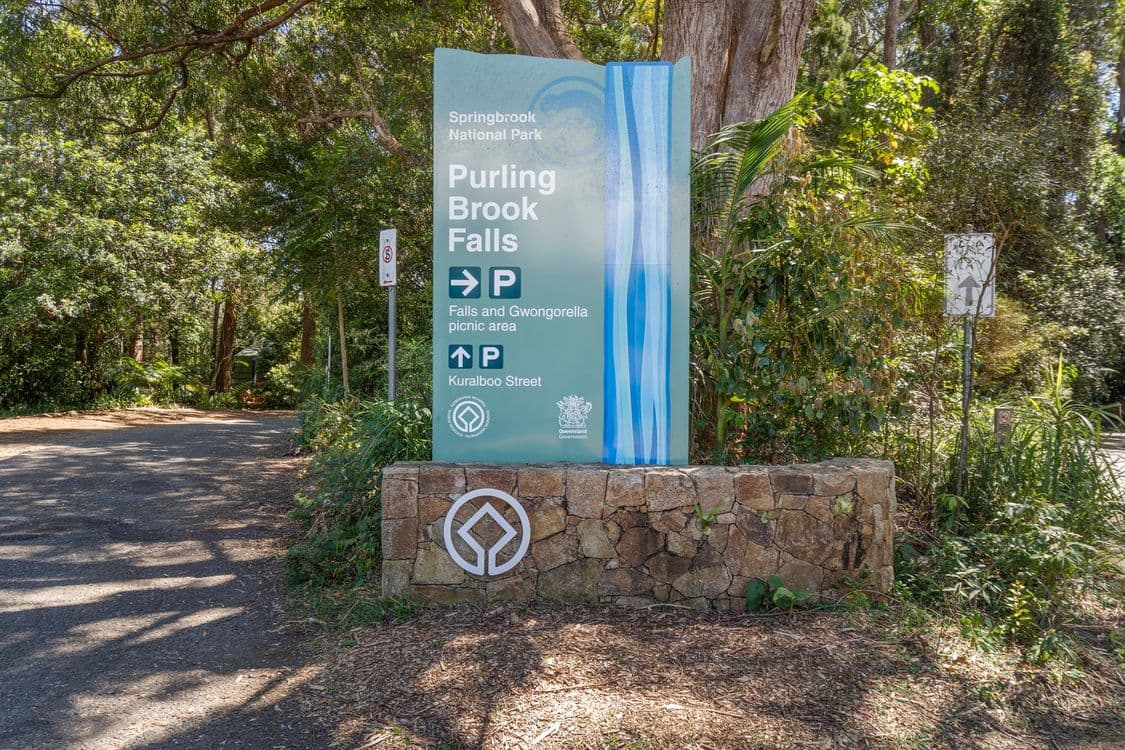 16 Kuralboo Street, SPRINGBROOK, QLD 4213, Springbrook - Thumbnail 4