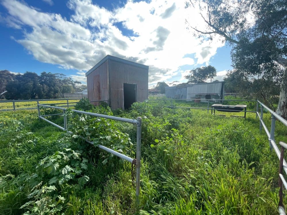 67 Bokarup Street, KATANNING, WA 6317, Katanning - Thumbnail 3