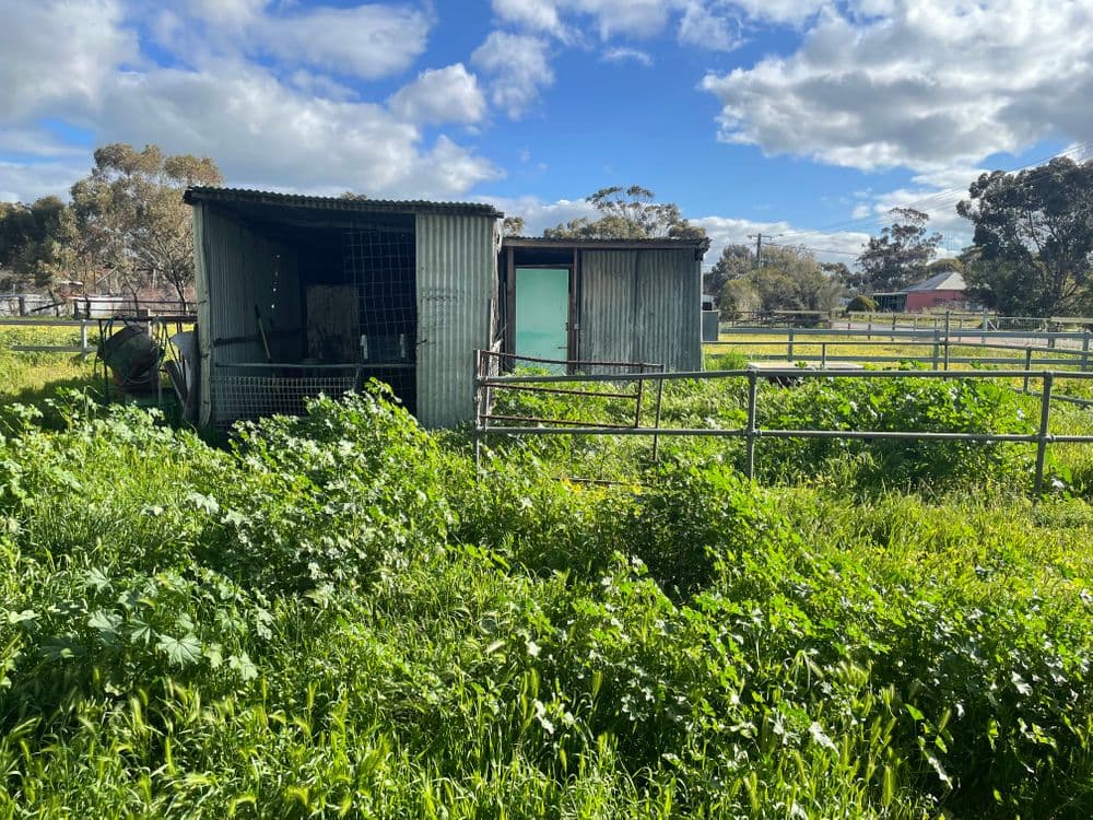 67 Bokarup Street, KATANNING, WA 6317, Katanning - Thumbnail 5