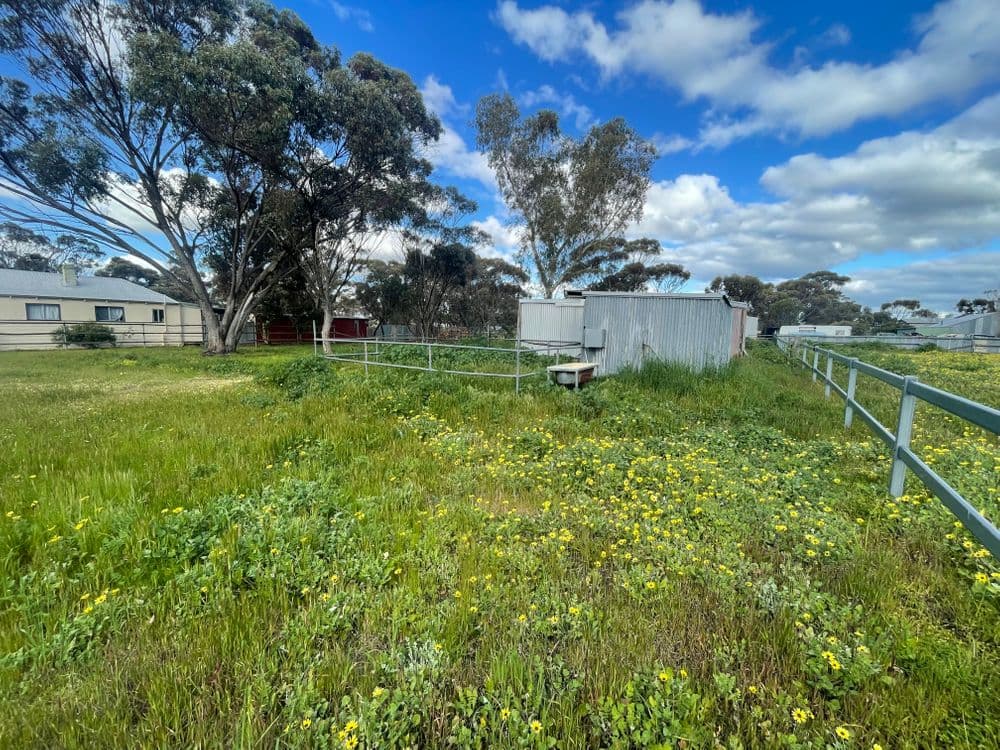 67 Bokarup Street, KATANNING, WA 6317, Katanning - Thumbnail 6