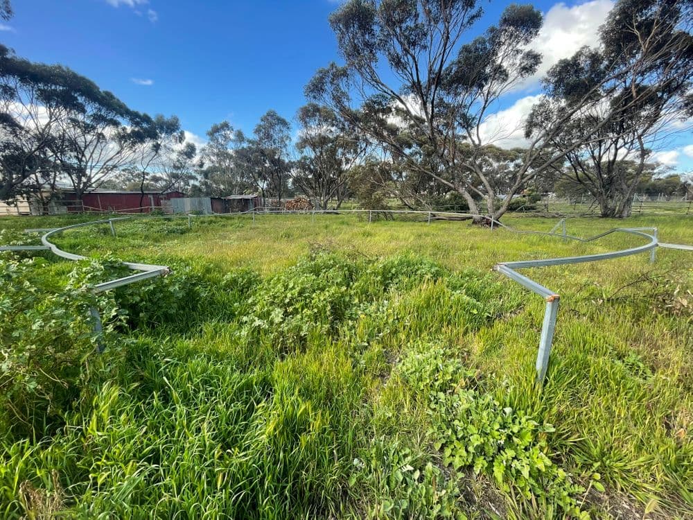 67 Bokarup Street, KATANNING, WA 6317, Katanning - Thumbnail 7