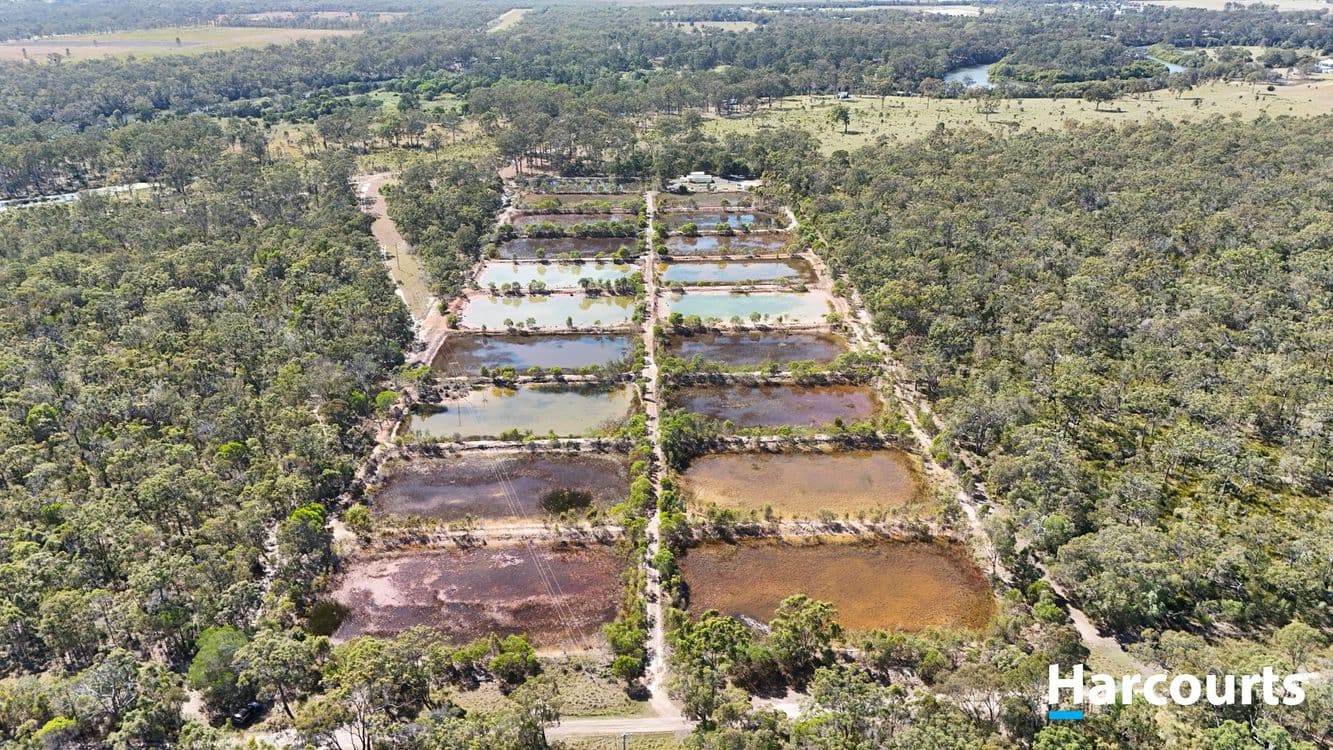 304 RICHARDS ROAD, PACIFIC HAVEN, QLD 4659, Pacific Haven - Image 1