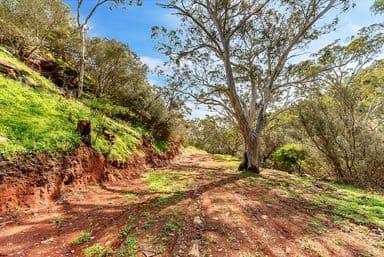 Lot 96 Norton Summit Road, TERINGIE, SA 5072, Teringie - Image 1