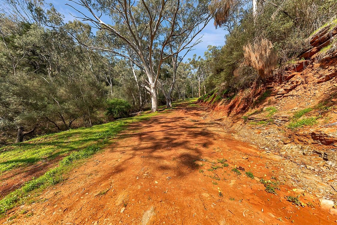 Lot 96 Norton Summit Road, TERINGIE, SA 5072, Teringie - Thumbnail 2