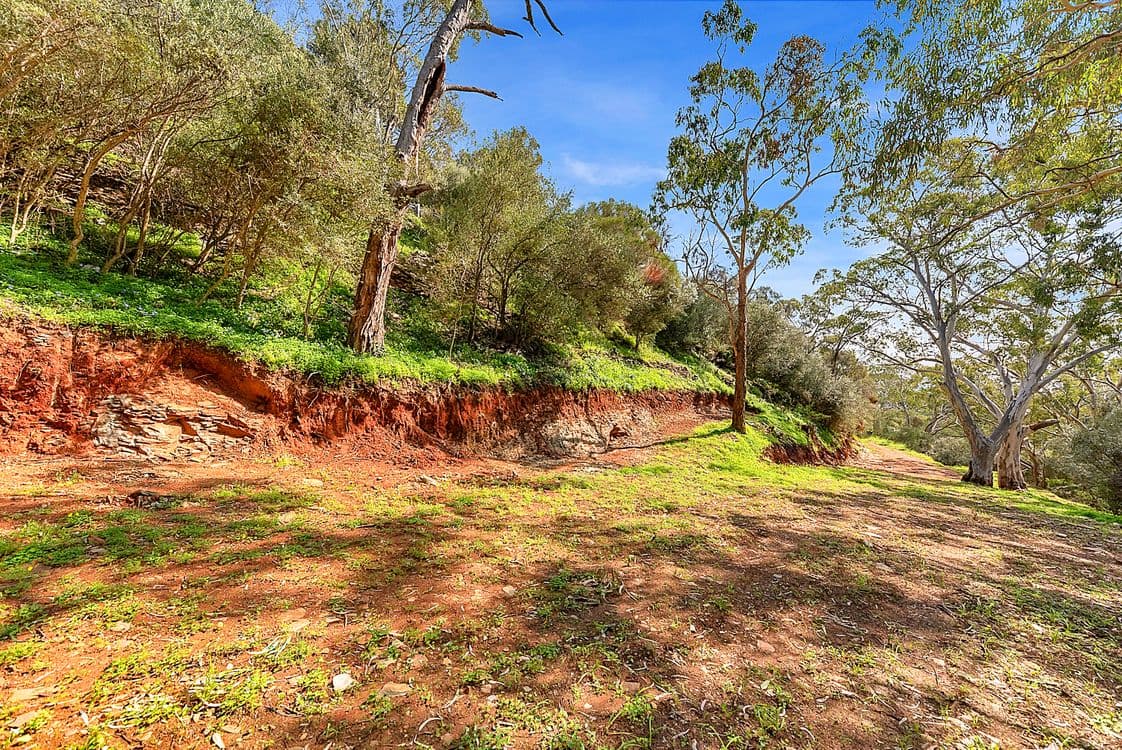 Lot 96 Norton Summit Road, TERINGIE, SA 5072, Teringie - Thumbnail 3