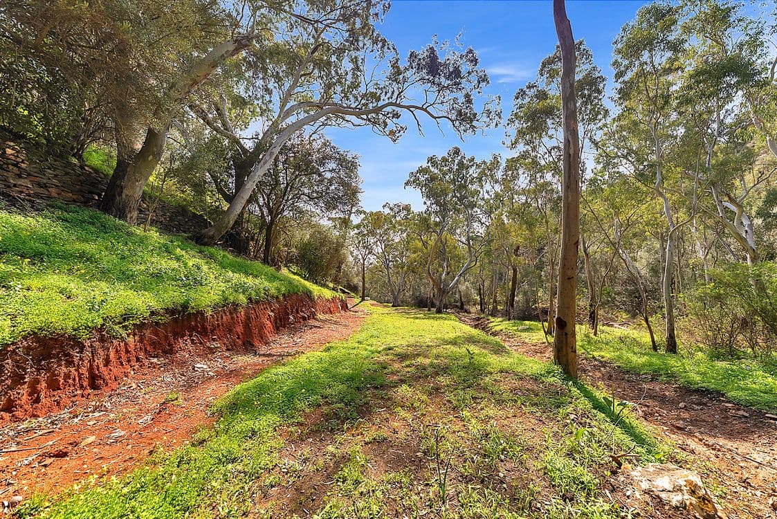 Lot 96 Norton Summit Road, TERINGIE, SA 5072, Teringie - Thumbnail 5