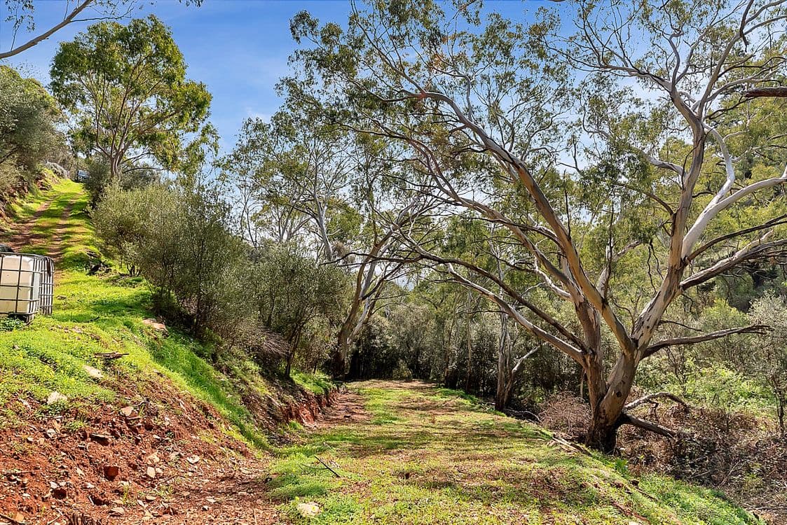 Lot 96 Norton Summit Road, TERINGIE, SA 5072, Teringie - Thumbnail 6