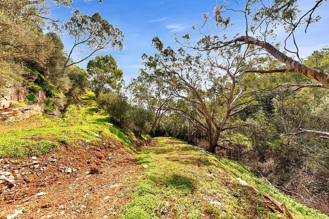 Lot 96 Norton Summit Road, TERINGIE, SA 5072, Teringie - Thumbnail 7