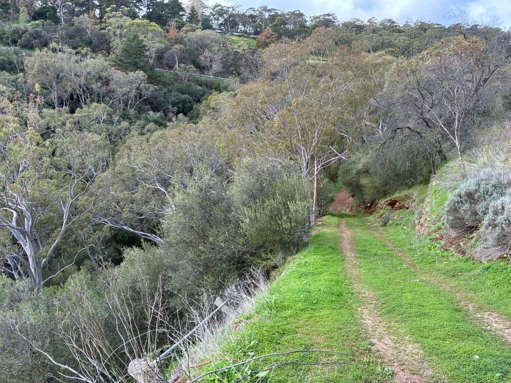 Lot 96 Norton Summit Road, TERINGIE, SA 5072, Teringie - Thumbnail 8