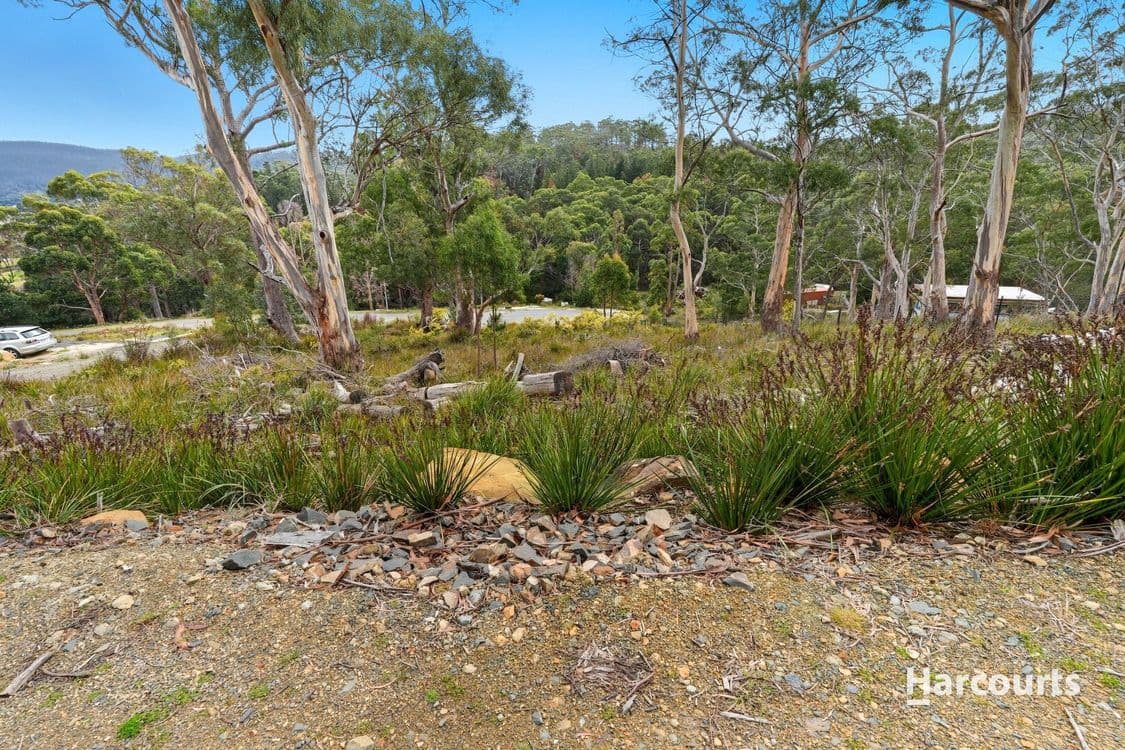 25 Mundy Court, NUBEENA, TAS 7184, Nubeena - Thumbnail 8