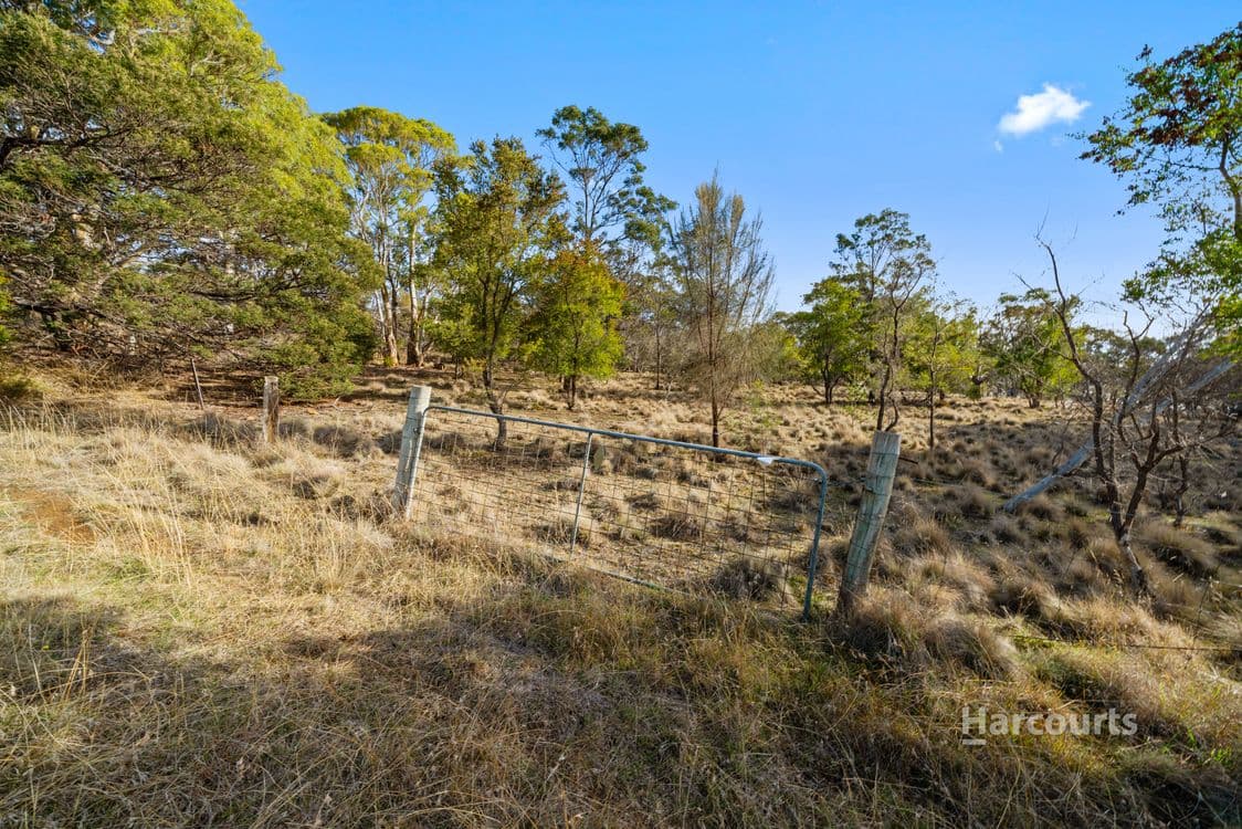 171 Malcolms Hut Road, RICHMOND, TAS 7025, Richmond - Thumbnail 5