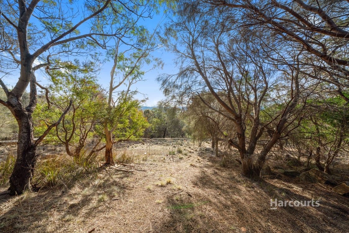 171 Malcolms Hut Road, RICHMOND, TAS 7025, Richmond - Thumbnail 6