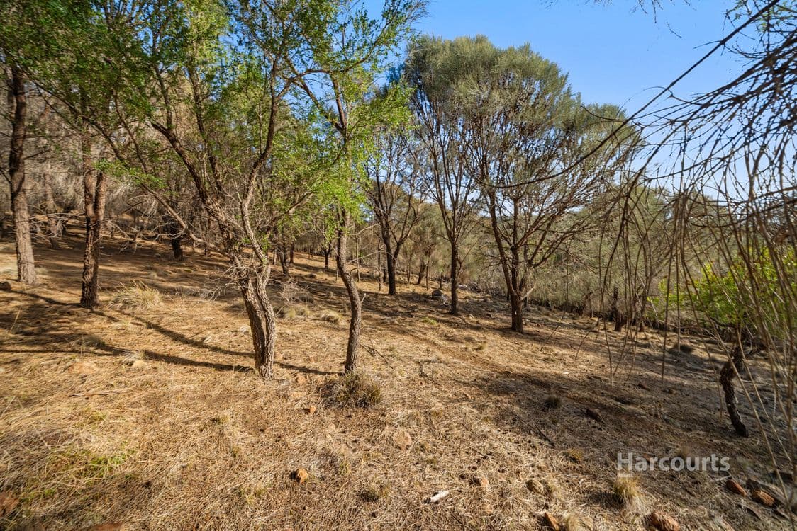 171 Malcolms Hut Road, RICHMOND, TAS 7025, Richmond - Thumbnail 8