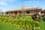 7 Martins Road, MCLAREN VALE, SA 5171, McLaren Vale - Image 1