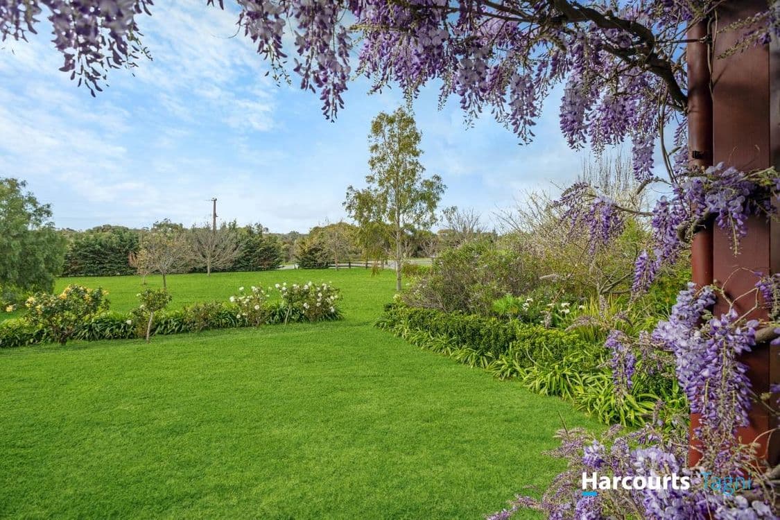 7 Martins Road, MCLAREN VALE, SA 5171, McLaren Vale - Thumbnail 4