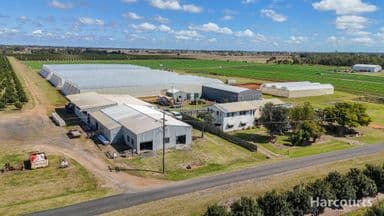 106 Sheehans Road, CALAVOS, QLD 4670, Calavos - Image 1