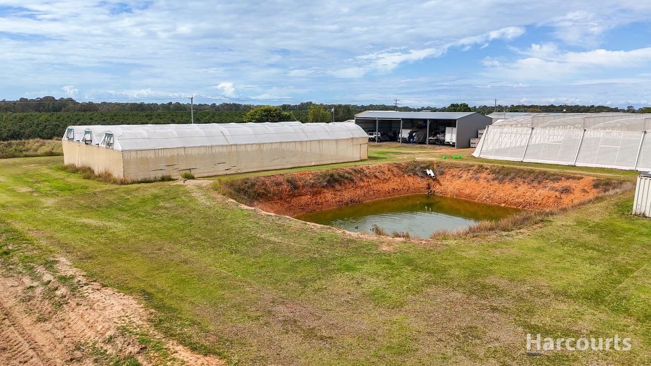 106 Sheehans Road, CALAVOS, QLD 4670, Calavos - Thumbnail 6
