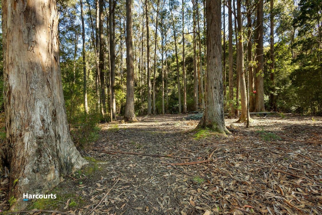170 Cockle Creek Road, RECHERCHE, TAS 7109, Recherche - Thumbnail 7