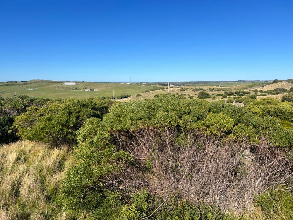 111 Barnes Road, CURRIE, TAS 7256, Loorana - Thumbnail 2
