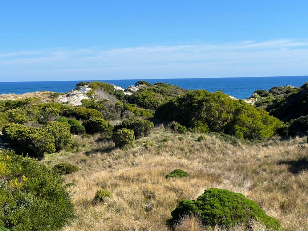111 Barnes Road, CURRIE, TAS 7256, Loorana - Thumbnail 3