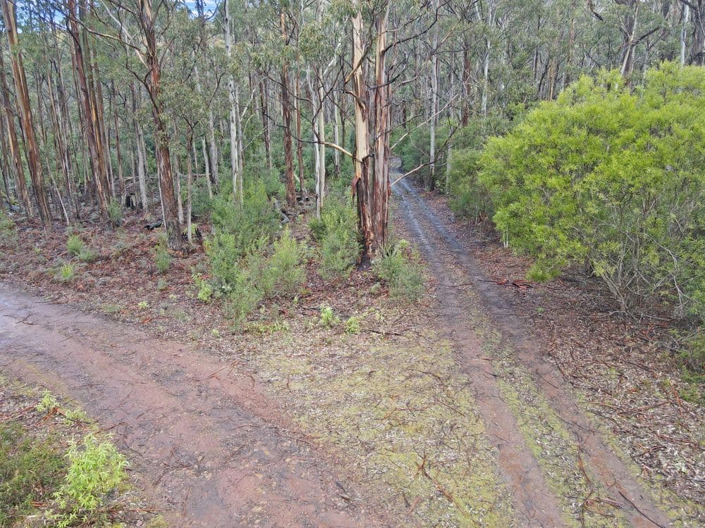 PID 7229246 Irish Town Road, ST MARYS, TAS 7215, St Marys - Thumbnail 3