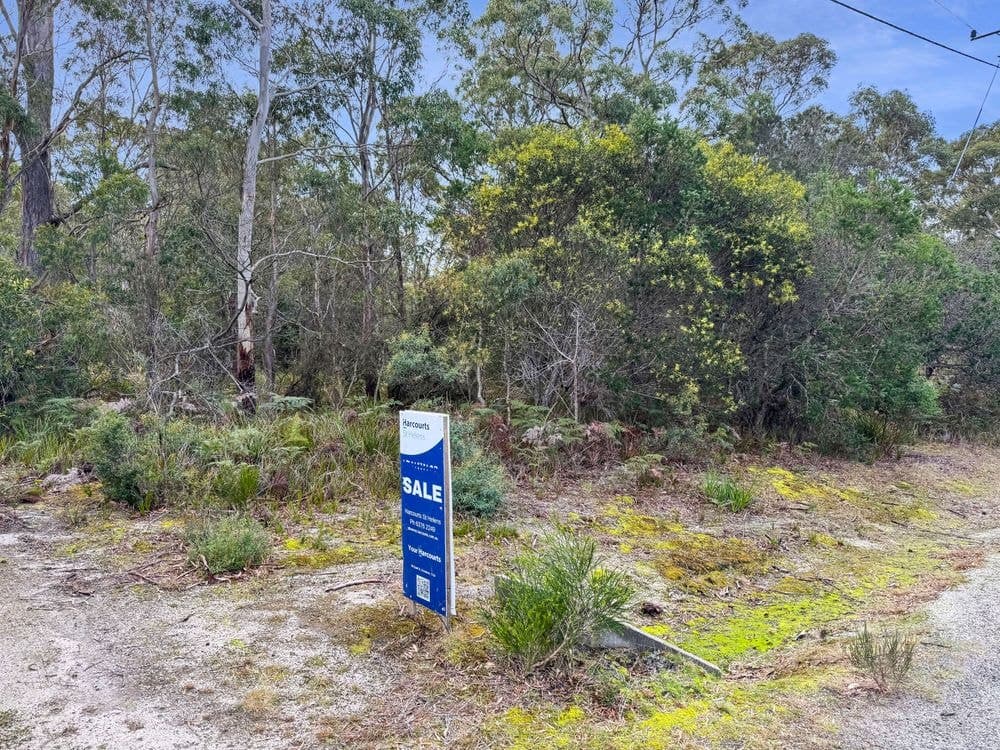 62 Acacia Drive, ANSONS BAY, TAS 7264, Ansons Bay - Thumbnail 2