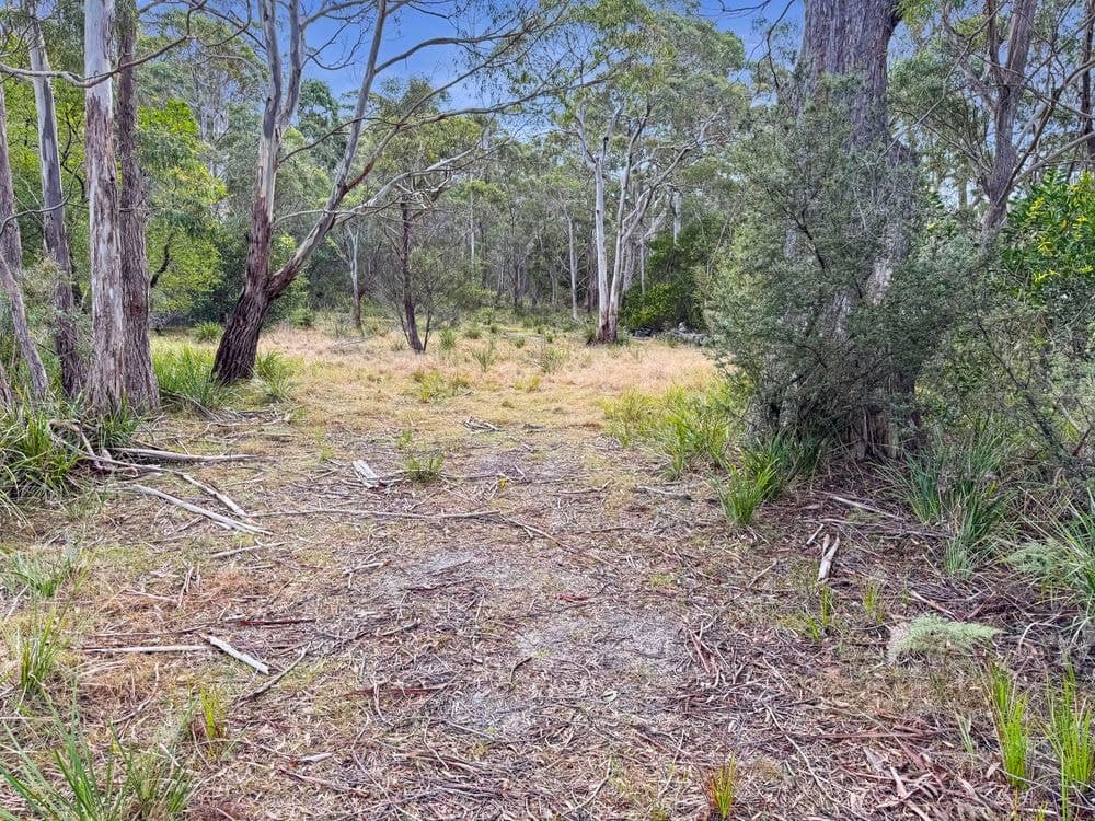 62 Acacia Drive, ANSONS BAY, TAS 7264, Ansons Bay - Thumbnail 5