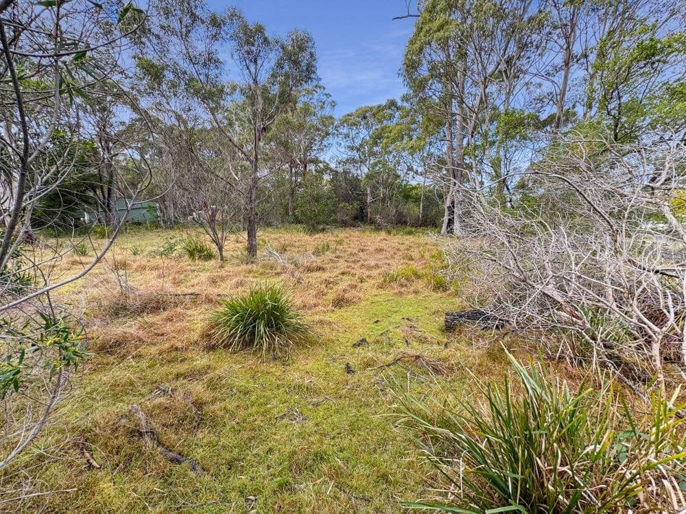 62 Acacia Drive, ANSONS BAY, TAS 7264, Ansons Bay - Thumbnail 6
