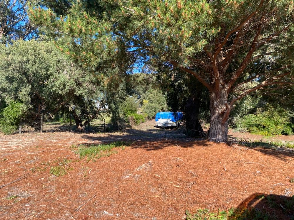 10 Bernadette Avenue, LOCH SPORT, VIC 3851, Loch Sport - Thumbnail 3