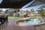 29 Pearce Street, CRIB POINT, VIC 3919, Crib Point - Image 1