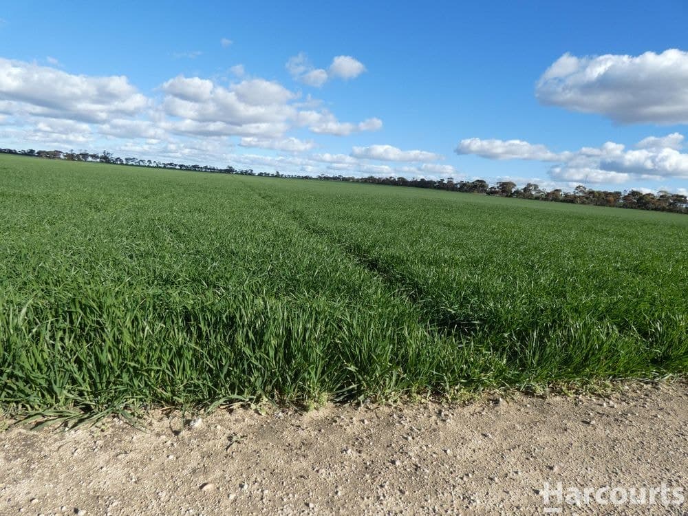 4429 Hopetoun-Rainbow Road, RAINBOW, VIC 3424, Rainbow - Thumbnail 3