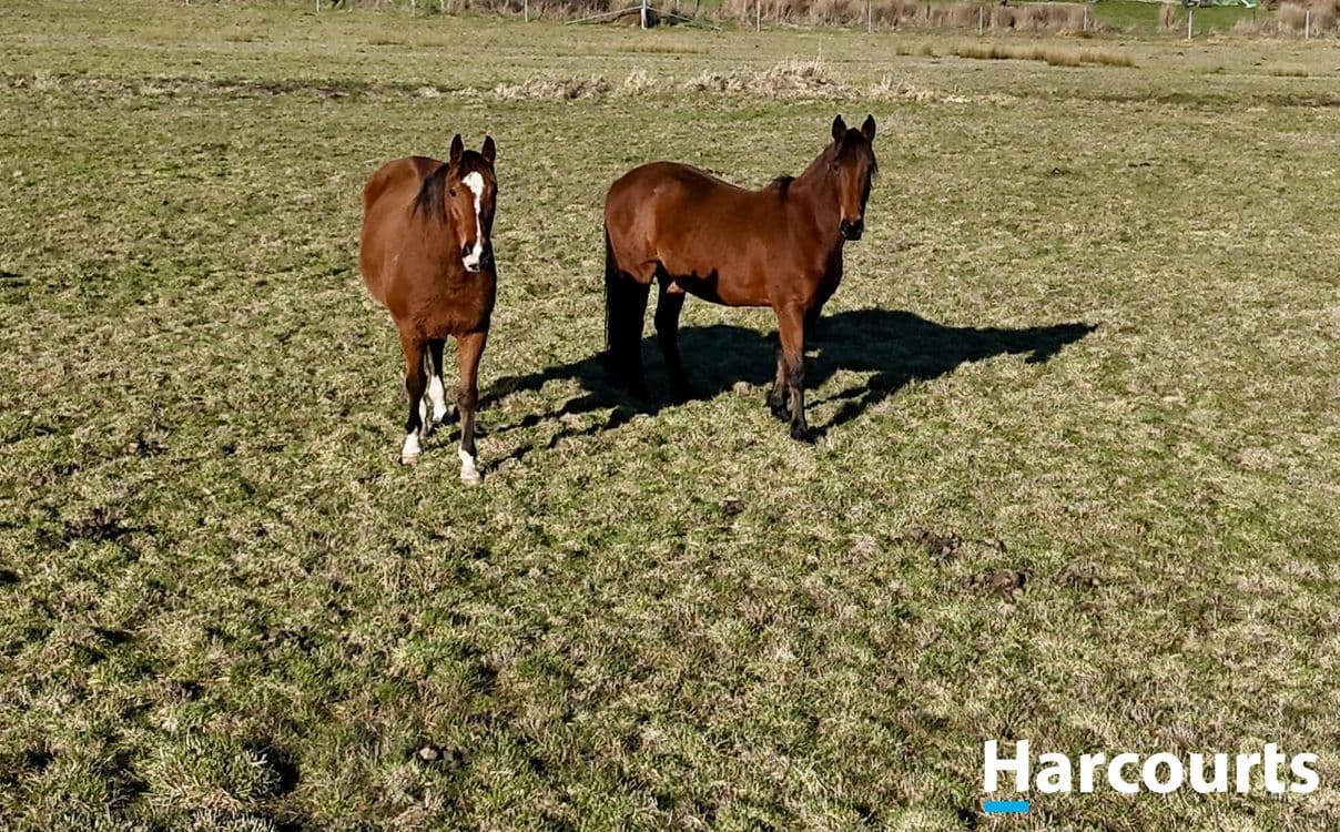 25 Cemetery Road, BEACONSFIELD, TAS 7270, Beaconsfield - Thumbnail 5