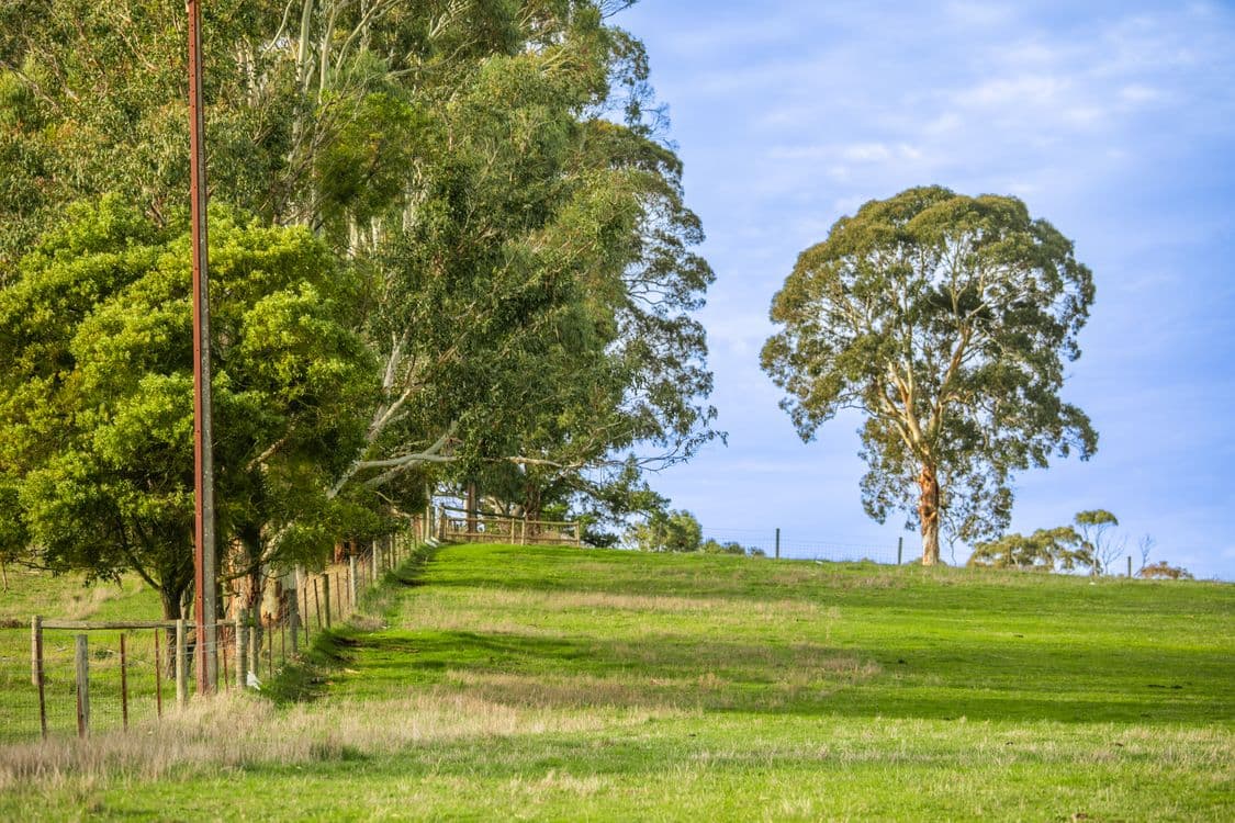 71 English Street, HAHNDORF, SA 5245, Hahndorf - Thumbnail 6
