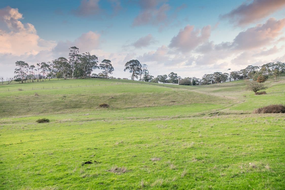 71 English Street, HAHNDORF, SA 5245, Hahndorf - Thumbnail 8