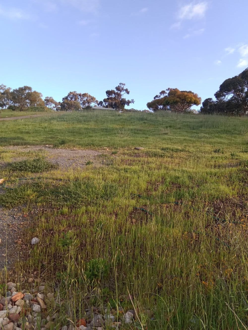 4/29 Sturt Lane, ONKAPARINGA HEIGHTS, SA 5163, Onkaparinga Heights - Thumbnail 4