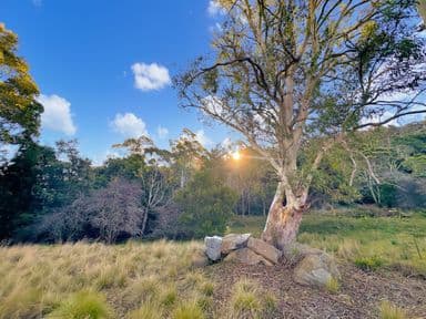 14 Crosby Street, CORNWALL, TAS 7215, Cornwall - Image 1