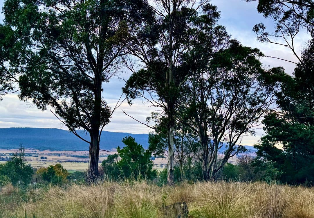 14 Crosby Street, CORNWALL, TAS 7215, Cornwall - Thumbnail 2