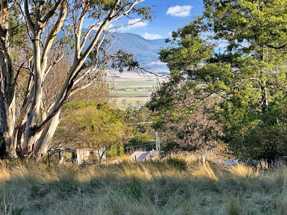 14 Crosby Street, CORNWALL, TAS 7215, Cornwall - Thumbnail 5